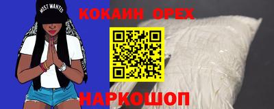 гидра Краснознаменск