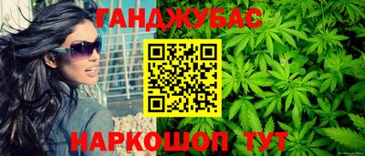 гидра Краснознаменск