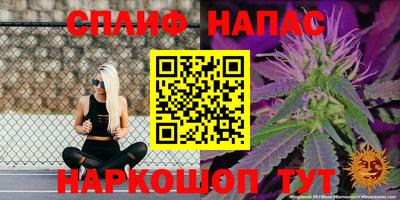 гидра Краснознаменск