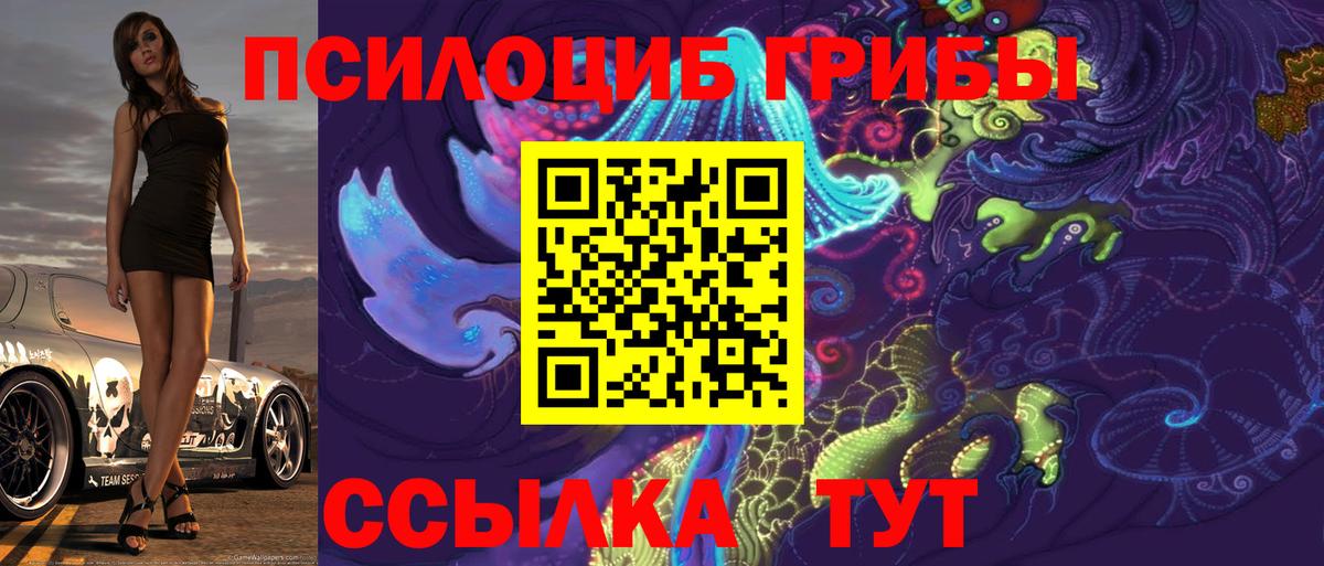 Энгельс  Галлюциногенные грибы Psilocybe  Вход с VPN 