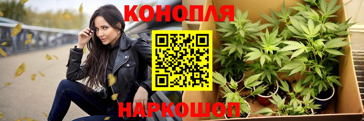 Бошки марихуана ГИДРОПОН  Бошки марихуана THC 21%  Вход с VPN  Бошки марихуана SATIVA & INDICA  Конопля White Widow  Энгельс 